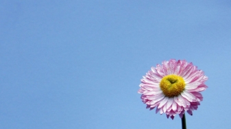 qtq80-IPWE7H-1200x700