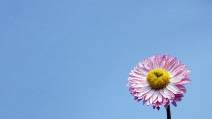 qtq80-IPWE7H-1200x700