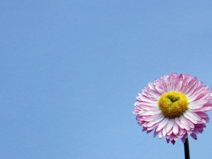 qtq80-IPWE7H-1200x700